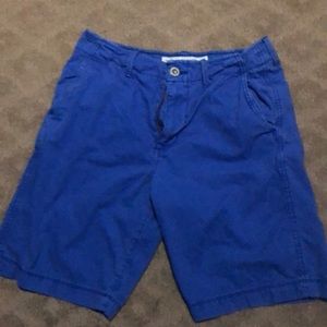 American Eagle Classic Blue Shorts 30